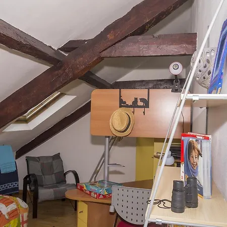 Solar Romantico Anno 1850 Al * Torres Novas