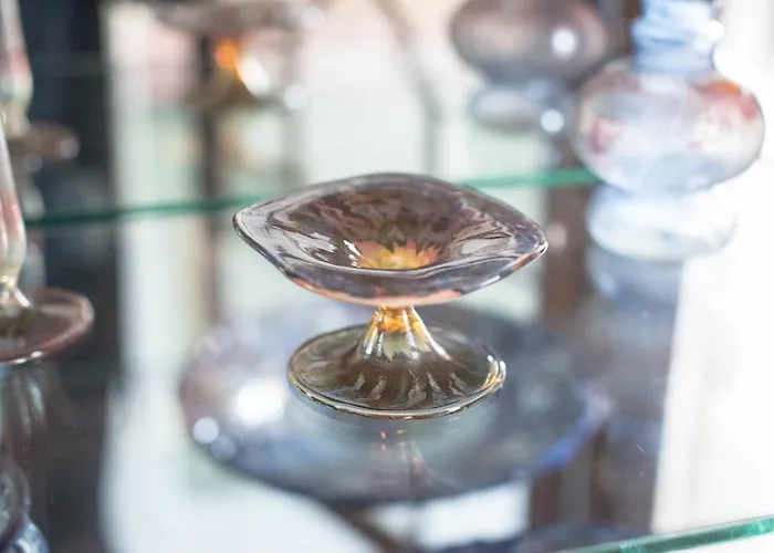 Solar Romantico Anno 1850 Al * Torres Novas