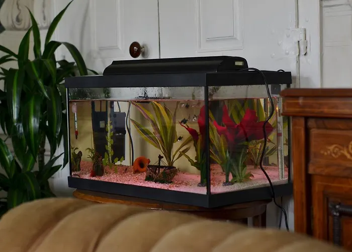 Solar Romantico Anno 1850 Al * Torres Novas