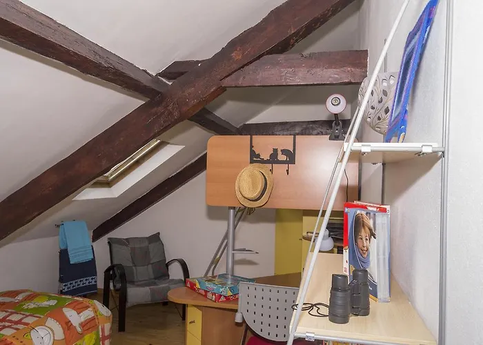 Solar Romantico Anno 1850 Al * Torres Novas