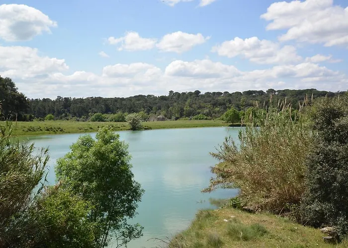 Solar Romantico Anno 1850 Al *